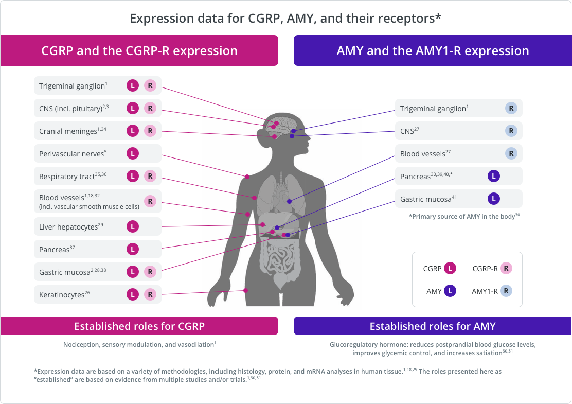 Expression data for CGRP AMY