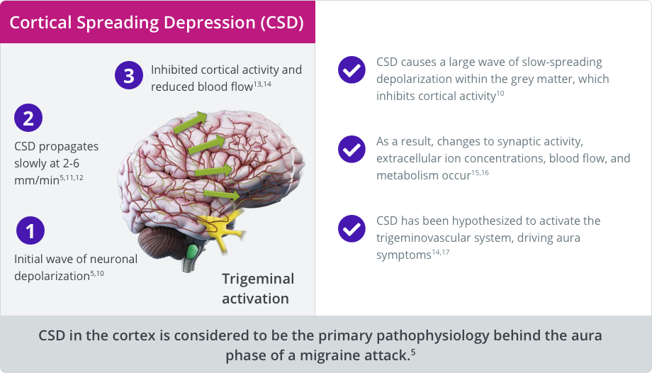 Overview of cortical spreading depression (CSD)
