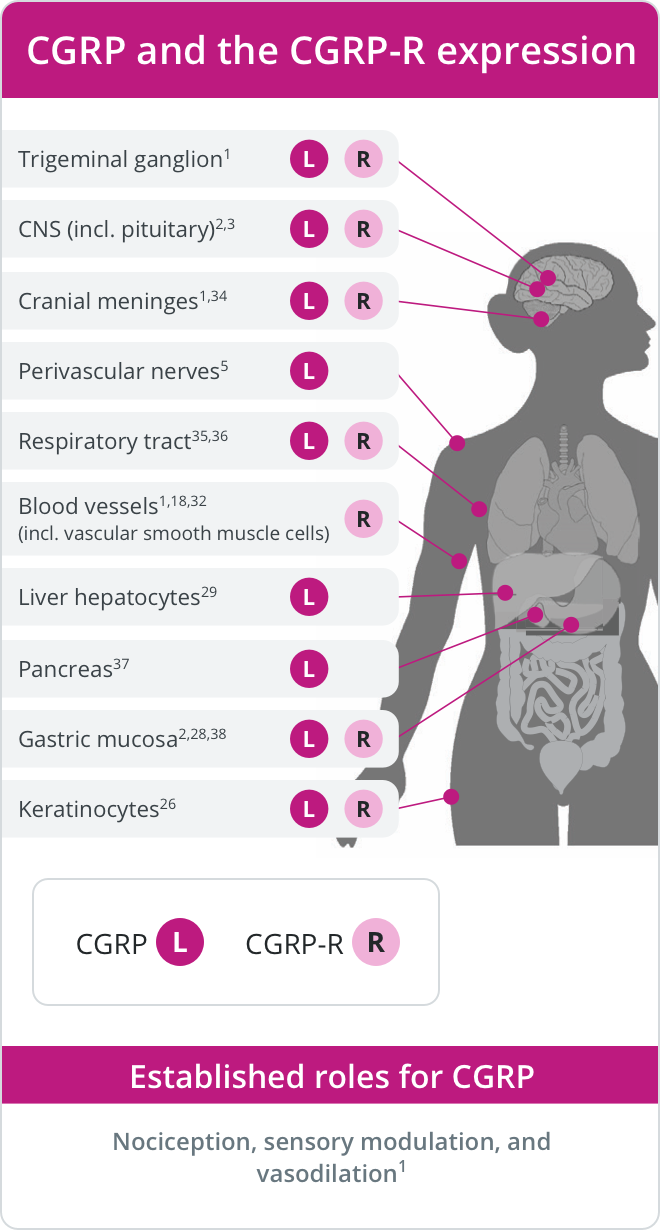 Expression data for CGRP AMY